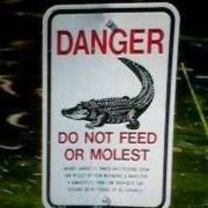 Meet your Posher, Bobbi